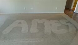 Ames Carpet & Tile Cleaning